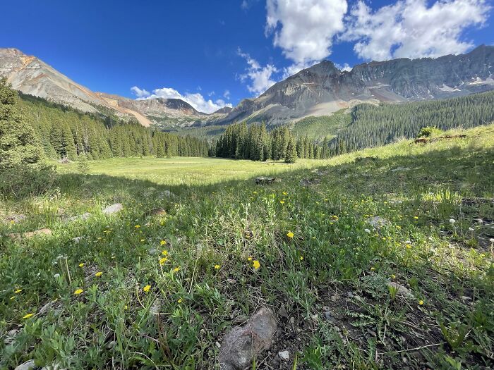 Mis amigos se casaron en este prado en Colorado hace 2 semanas