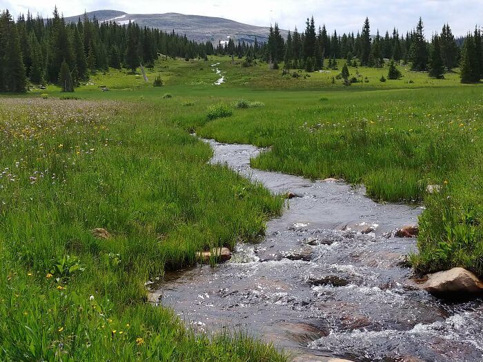 Pico Medicine Bow en Wyoming