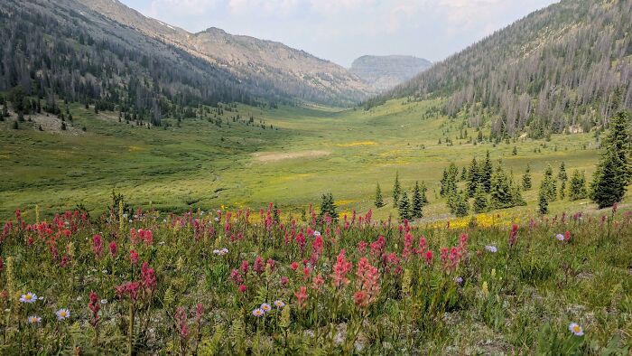 Mi favorito, al sur de Absarokas, Wyoming