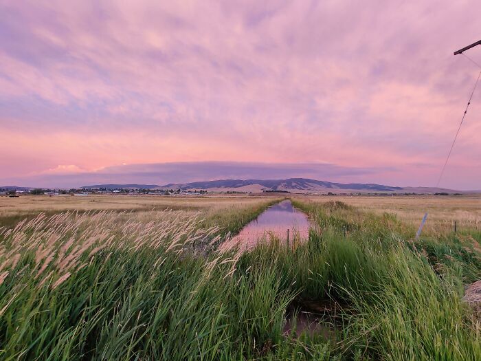 Pradera al atardecer en Montana