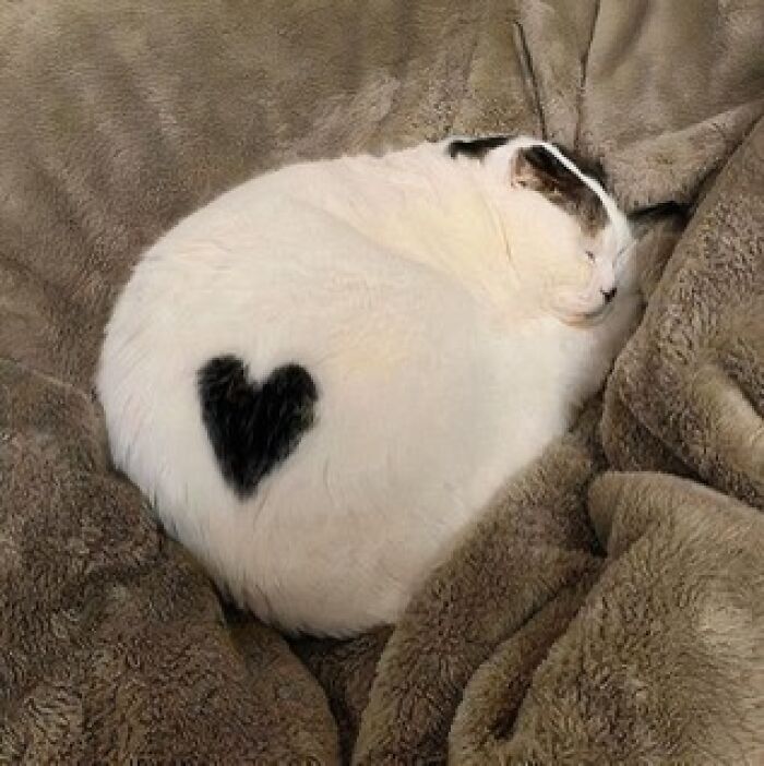 Corazón