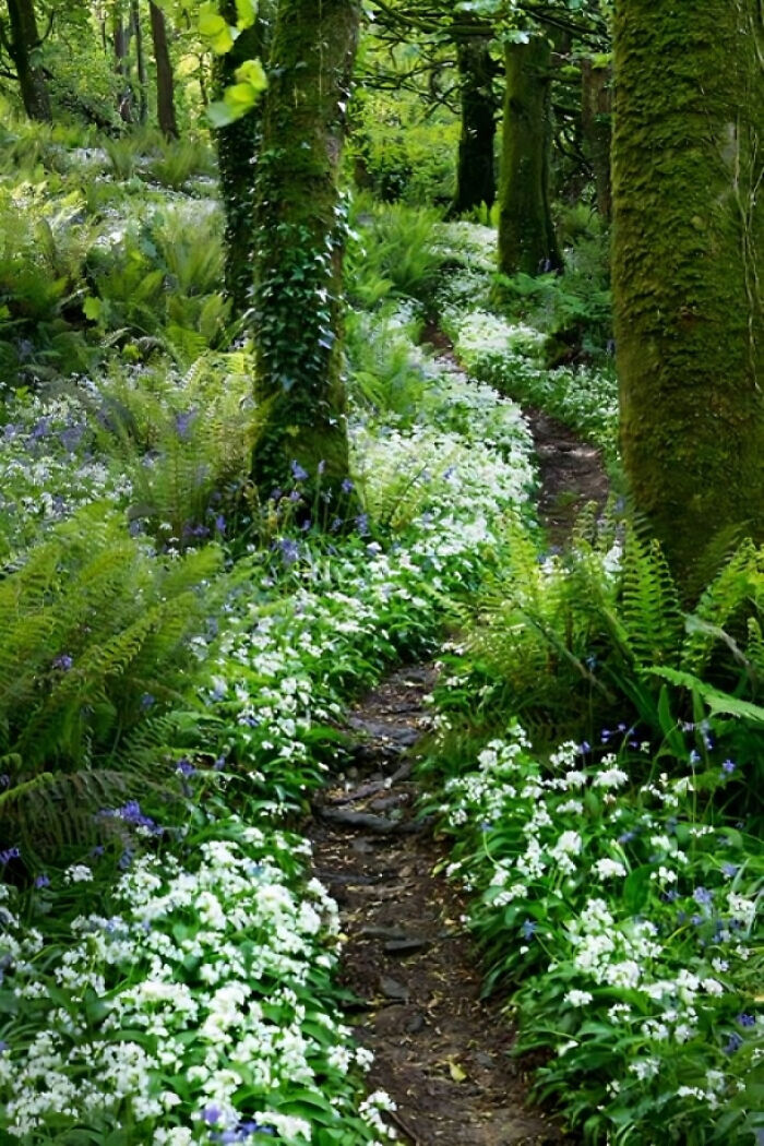 If You’re Feeling Blue, These 50 Pics Might Brighten Your Day