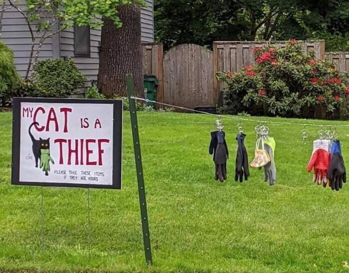 40 Chaotically Funny Signs Found In The Wild That Simply Had To Be Shared