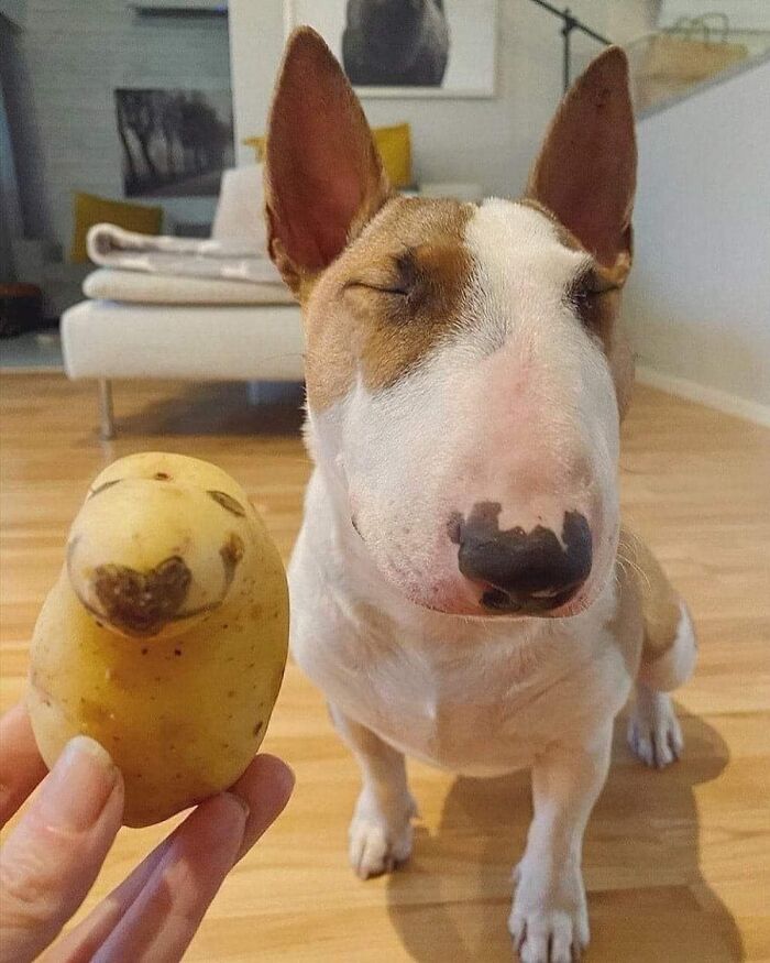 These 50 Memes Are Just What You Need to Take a Break and Have a Giggle (New Pics)