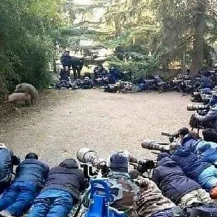 50 Cursed Images That Get Weirder The More You Scroll, As Shared On This Instagram Account