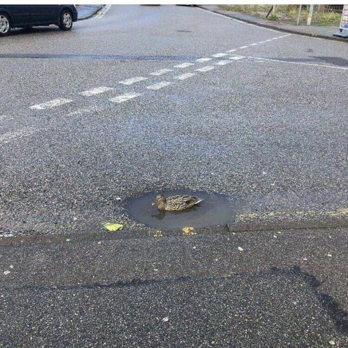50 Cursed Images That Get Weirder The More You Scroll, As Shared On This Instagram Account