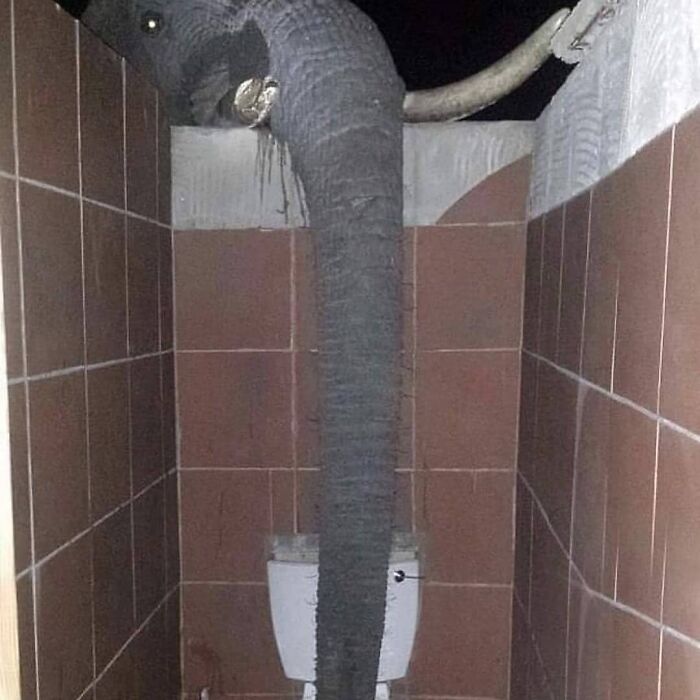 50 Cursed Images That Get Weirder The More You Scroll, As Shared On This Instagram Account