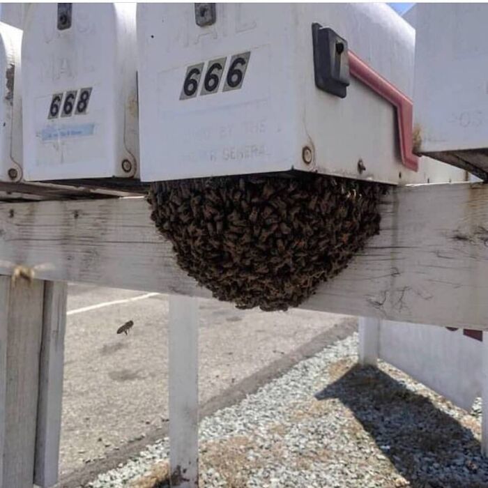 50 Cursed Images That Get Weirder The More You Scroll, As Shared On This Instagram Account