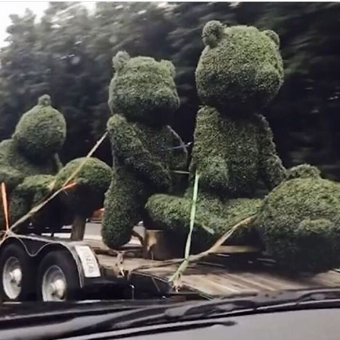 50 Cursed Images That Get Weirder The More You Scroll, As Shared On This Instagram Account