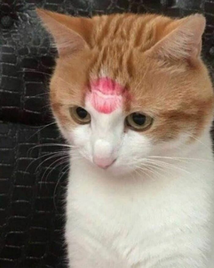 Un besito