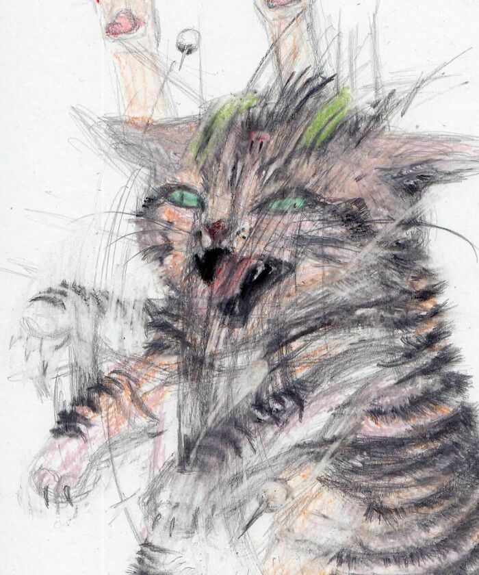 Gato loco 