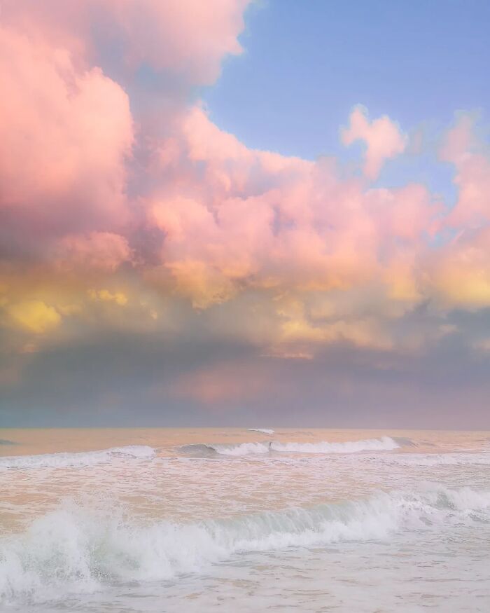 If You’re Feeling Blue, These 50 Pics Might Brighten Your Day