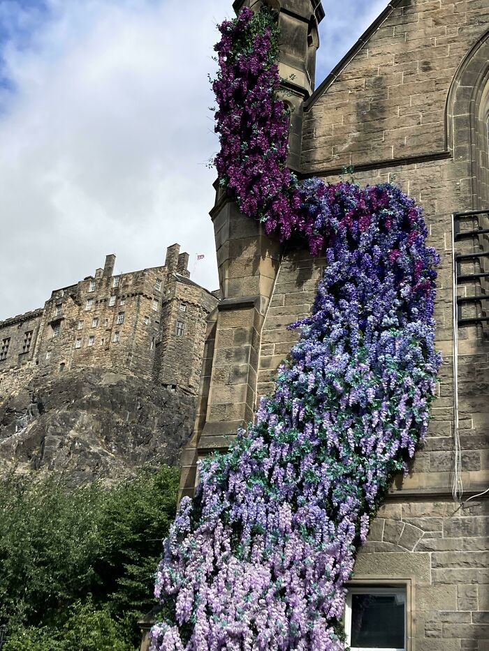 Flores en la pared que parecen un gradiente