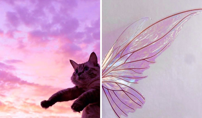 If You’re Feeling Blue, These 50 Pics Might Brighten Your Day