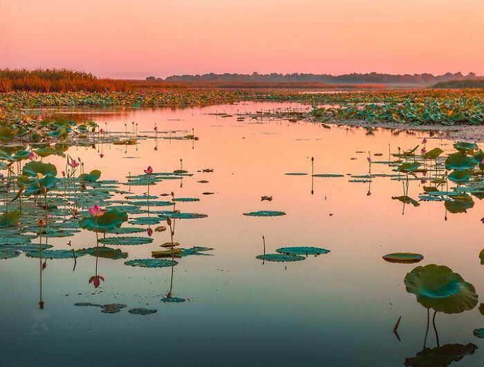 If You’re Feeling Blue, These 50 Pics Might Brighten Your Day