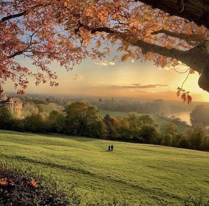 If You’re Feeling Blue, These 50 Pics Might Brighten Your Day