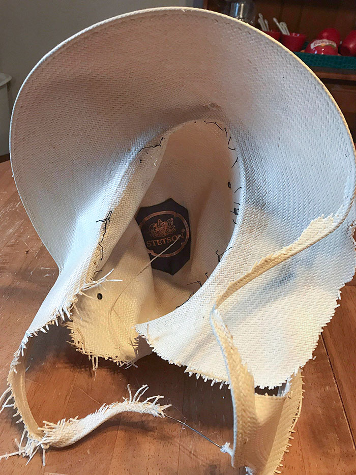 Mi esposa olvidó guardar su sombrero caro y el perro se lo ha recordado