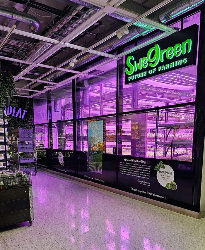 Supermercado con su propia granja donde cultivan verduras y ensaladas