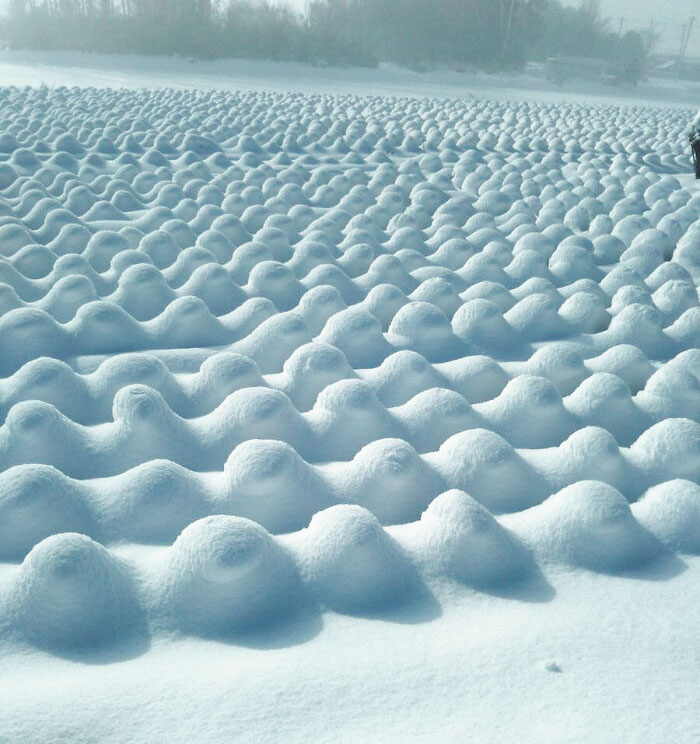 Ha nevado sobre el campo de coles