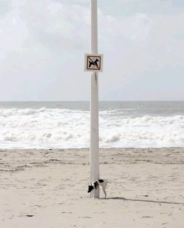 50 Signs That Are Poorly Placed, Badly Designed Or Simply Funny, Shared In This FB Group