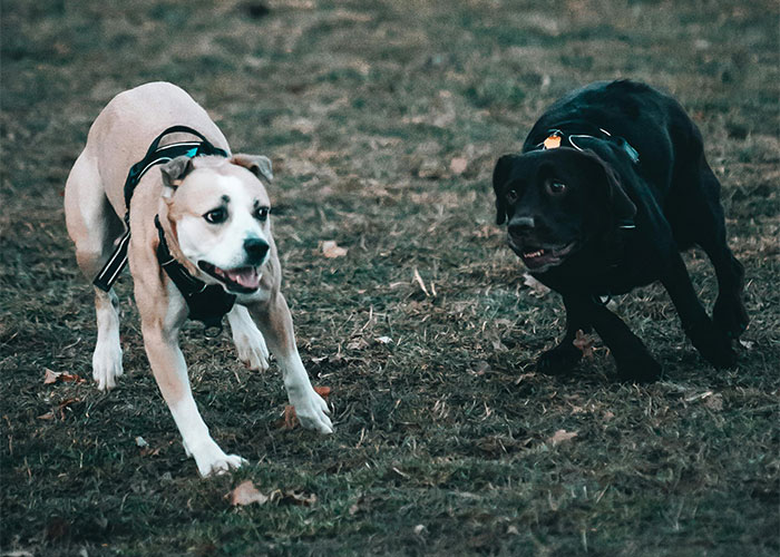 22 Historias sobre bodas que fueron de mal en peor