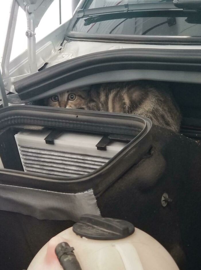 Sus ojos tras un viaje de varios kms hasta que lo encontraron ahí