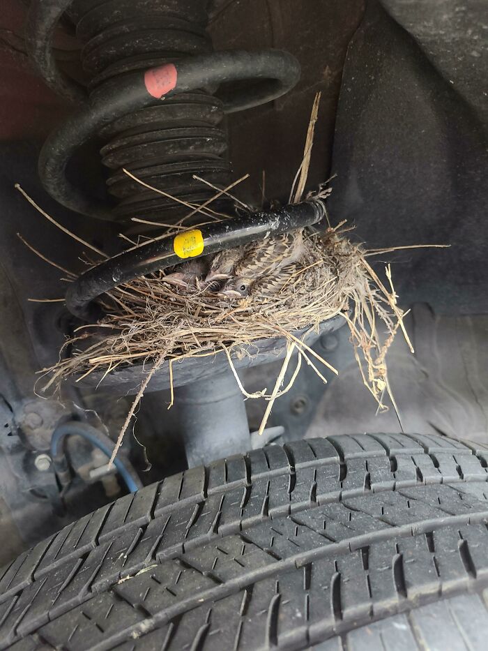 Este coche ha pasado demasiado tiempo aparcado
