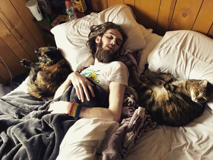 Decía que no era de gatos