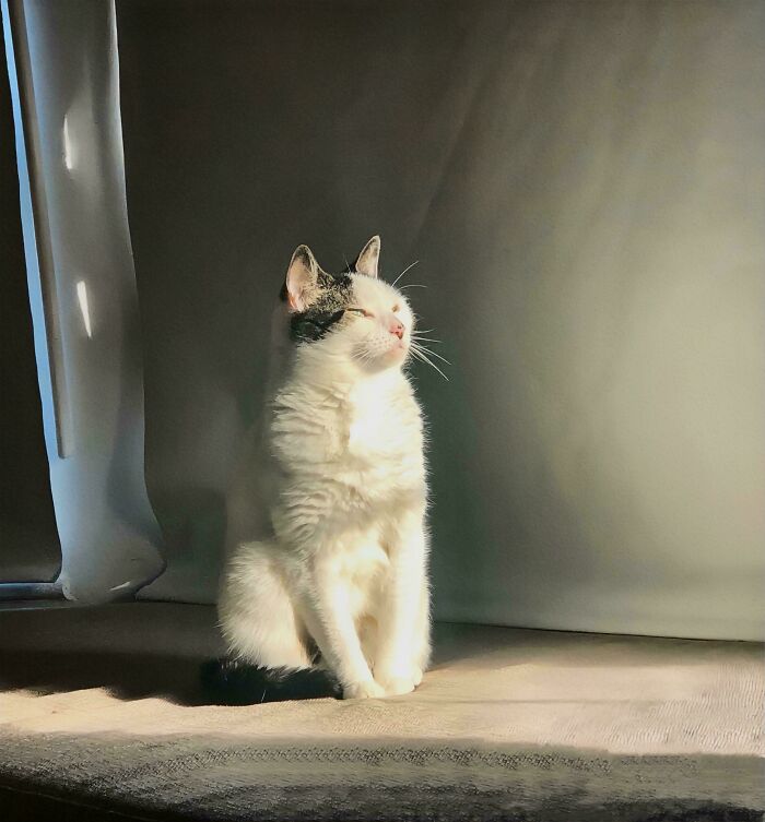 La dama esperando al sol