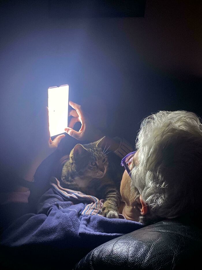 Gato con su persona favorita