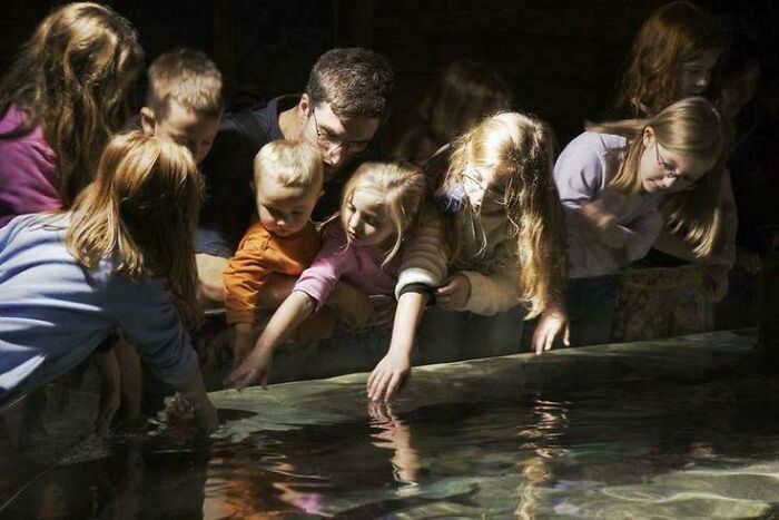 Niños en el Aquarium