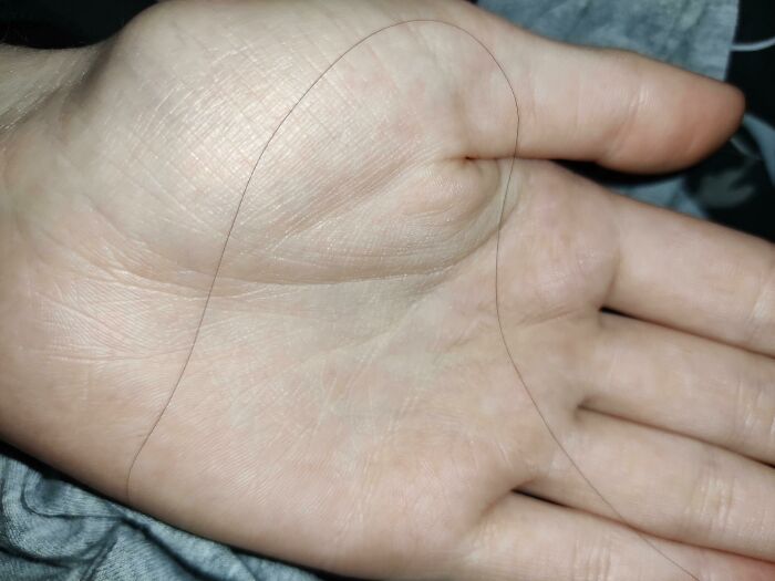 Me fui de vacaciones y al volver había un pelo largo y marrón en mi almohada. Soy castaña, tengo el pelo largo y vivo sola, así que el pelo es mio