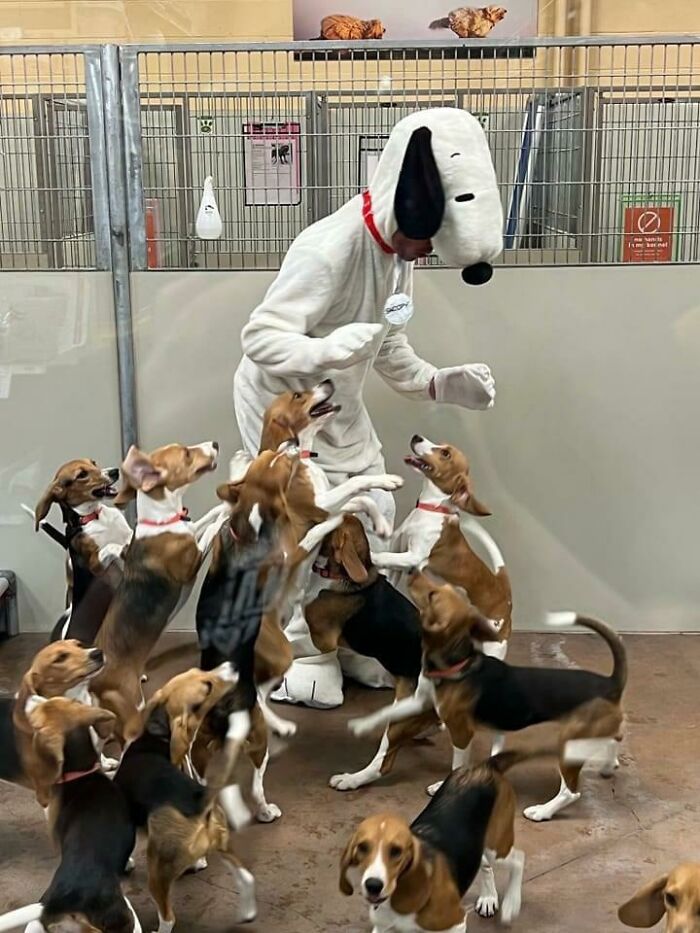 Hmmm