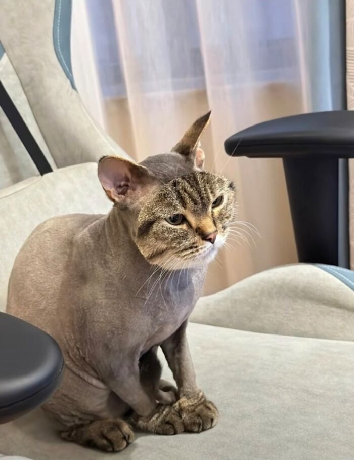 Hmmm