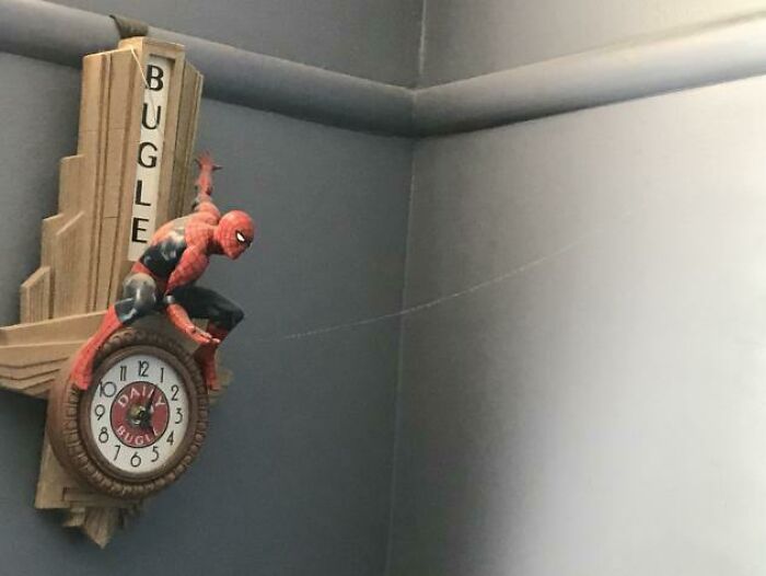 Telaraña en el lugar perfecto