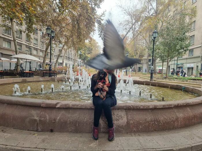 Paloma haciendo photobomb a mi novia