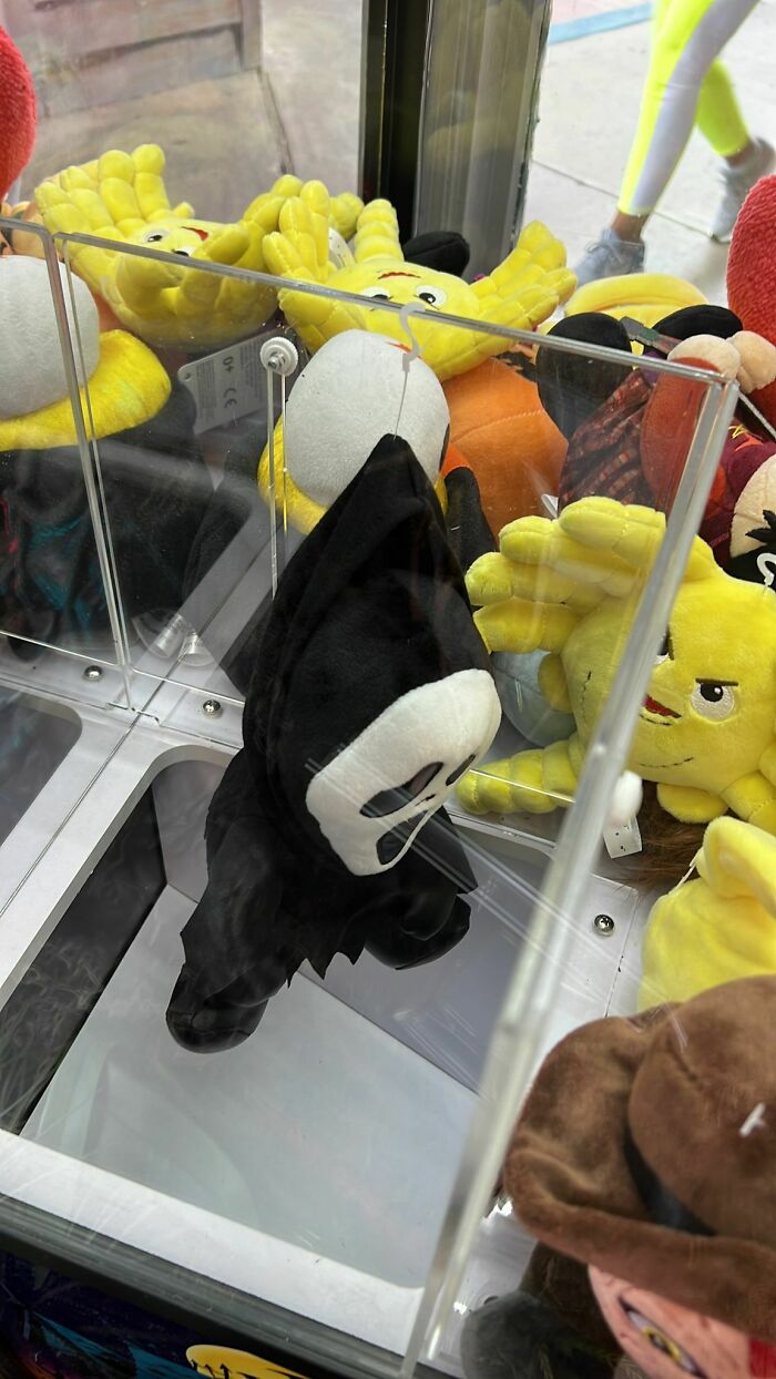 Un cliente se las arregló para agarrar este peluche en nuestra máquina de garra hoy, y esto es lo que pasó cuando fue a caer por el agujero