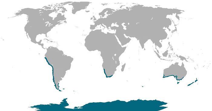 Lugares donde hay pingüinos de forma natural