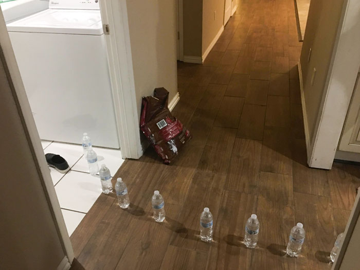Mis hijos vinieron a decirme que había agua saliendo del lavadero. Fui corriendo y vi esto, muy graciosos