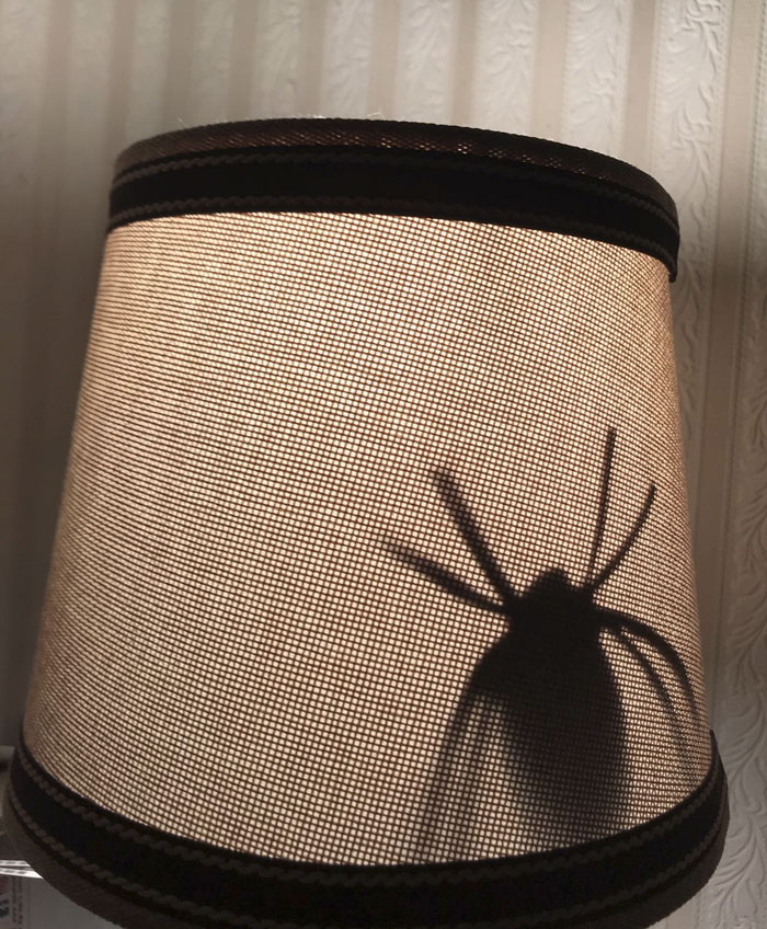 Mi hijo ha hecho una araña con papel y la ha pegado dentro de la lámpara de mi esposa