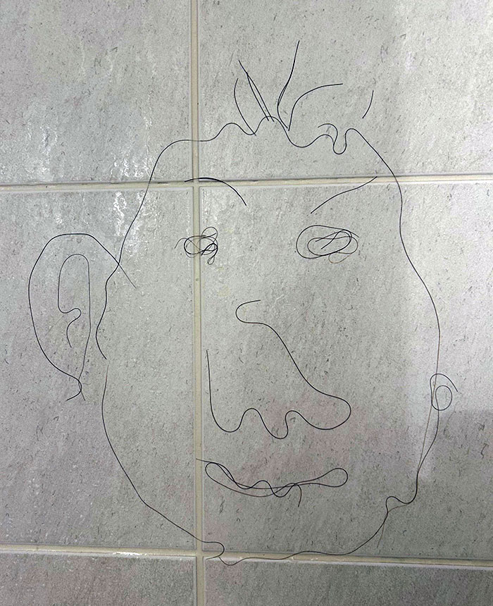 He hecho esto con los pelos que deja mi novia en el baño