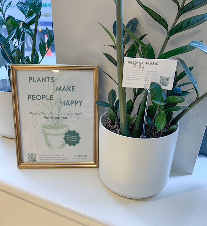 Este hotel tiene plantas que puedes tomar prestadas para tu habitación