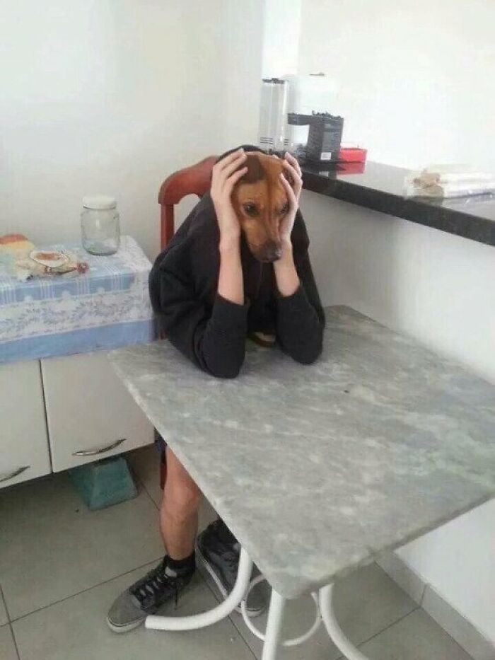 Ay madre mía