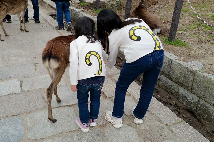 26 Funny Accidental Images That Were Taken At The Right Time And Place By This Street Photographer (New Pics)