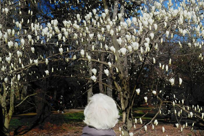 26 Funny Accidental Images That Were Taken At The Right Time And Place By This Street Photographer (New Pics)