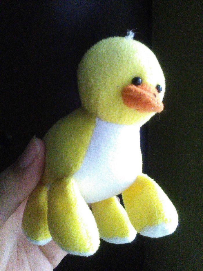 Pato con cuatro patas