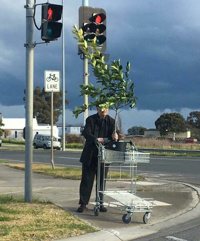 Magritte accidental