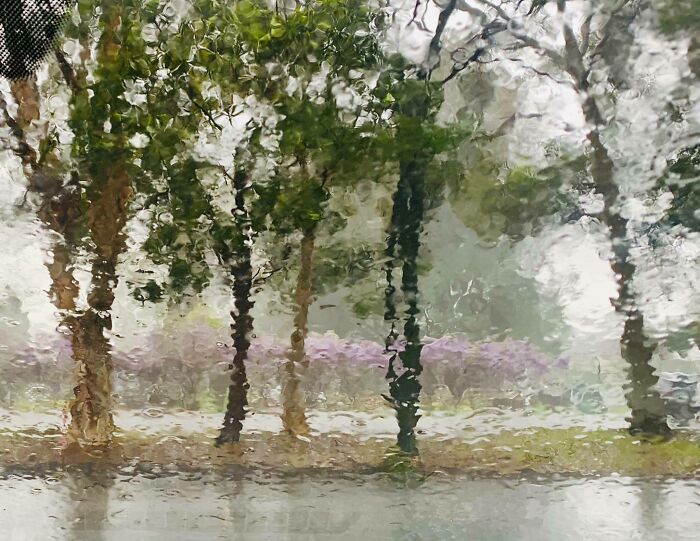 Mi parabrisas parece un cuadro de acuarela