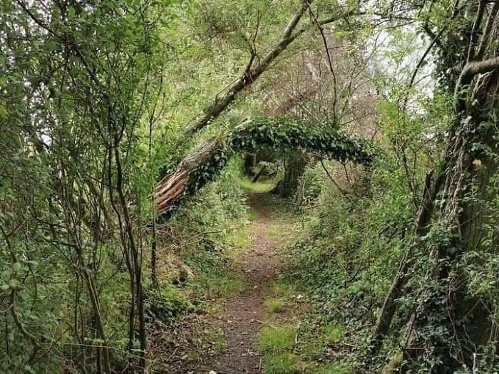 La naturaleza nos vigila