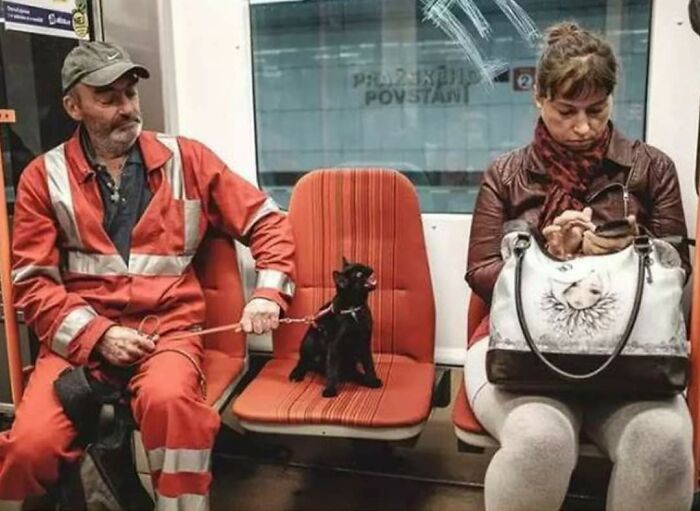 Grita